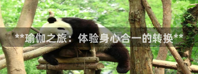 怎么买欧洲杯