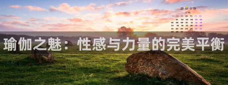 网上哪个平台可以买足球