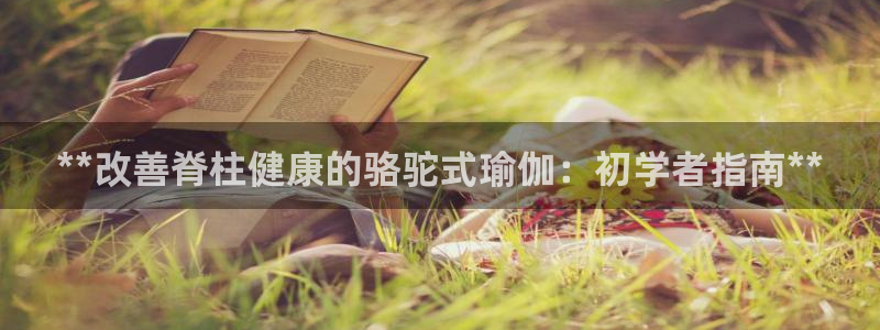 欧洲杯决赛彩票网上购买