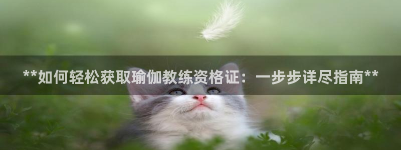 欧洲杯哪里买球靠谱