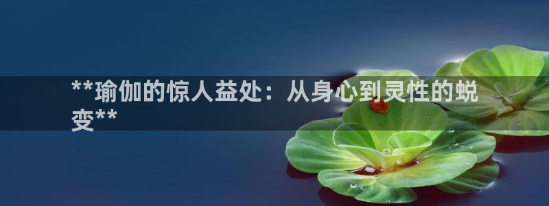 欧洲杯彩票哪里买