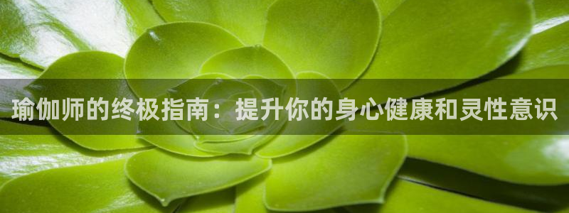 欧洲杯在哪个网站购买