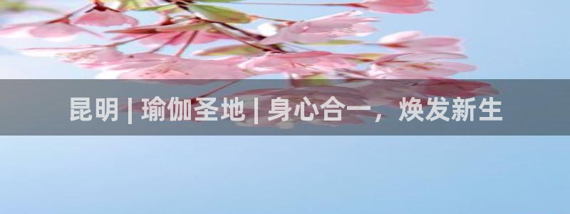 欧洲杯买球网