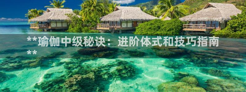 2024欧洲杯押注官网