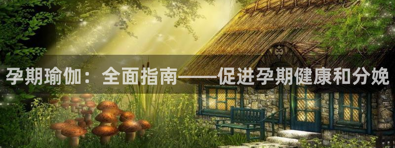 2024欧洲杯官方网站首页