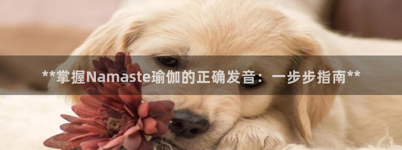 2024欧洲杯买球推荐