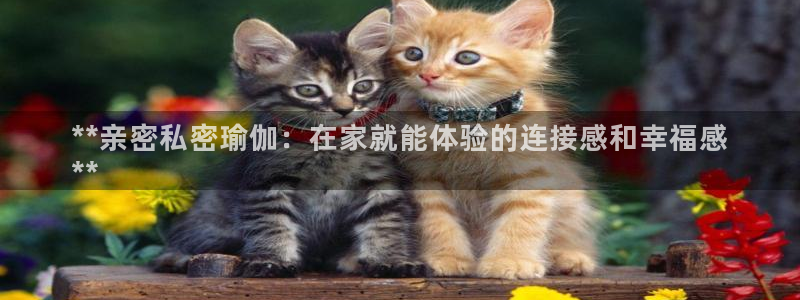 welcome欧洲杯开户