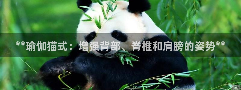 网上哪个平台可以买足球