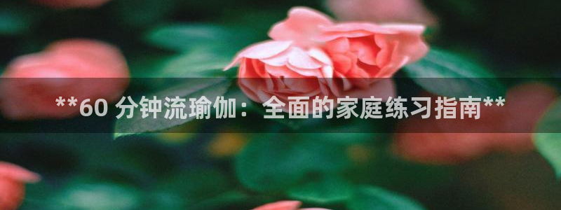 欧洲杯买球网