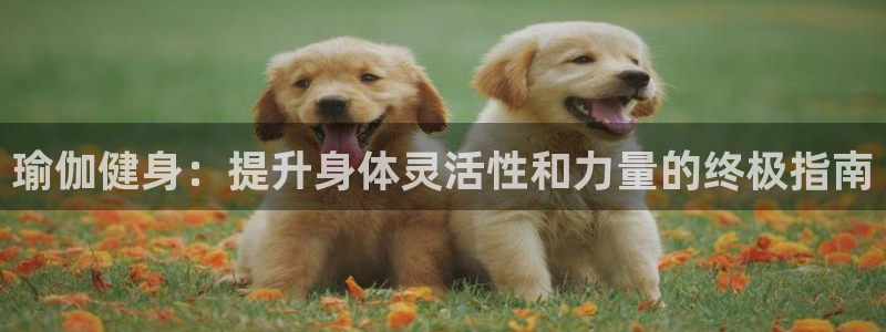 欧洲杯竞猜网站