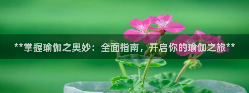欧洲杯买球网