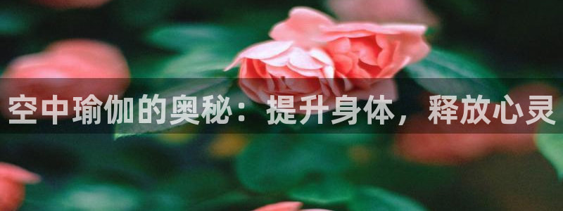 2024欧洲杯买竞猜