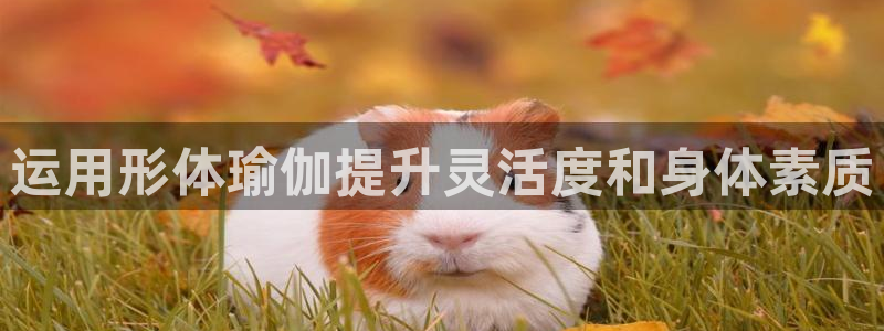 欧洲杯靠谱买球平台