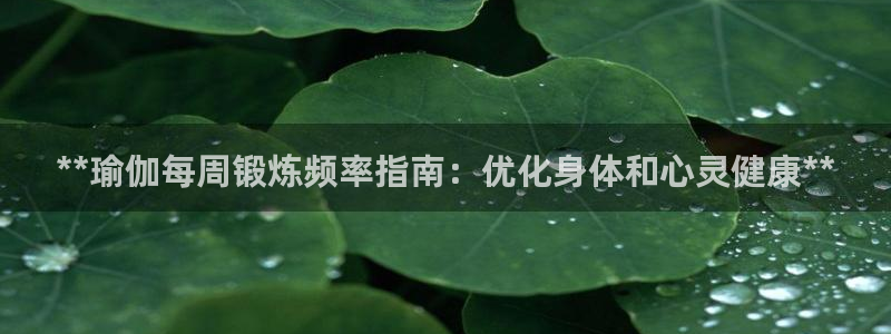 2024年欧洲杯投注