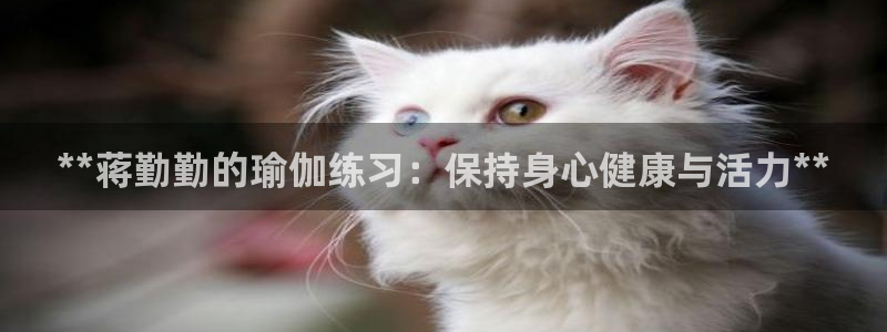 欧洲杯下单网址