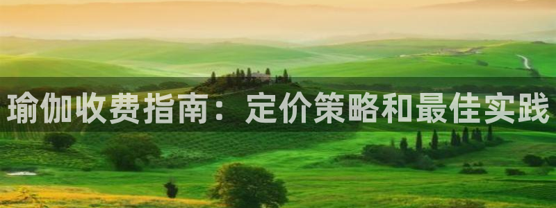 欧洲杯买足球软件