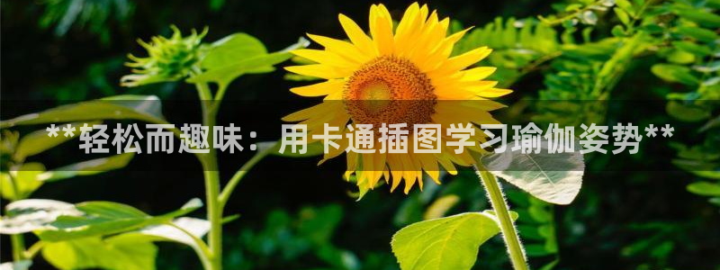 welcome欧洲杯开户
