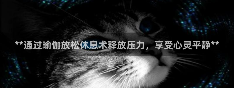 欧洲杯2024下单