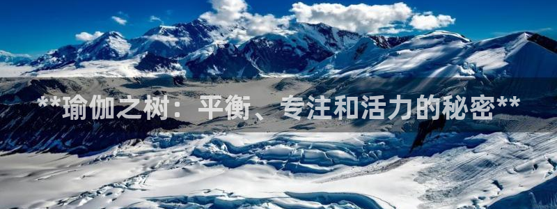 买足球平台哪个比较好