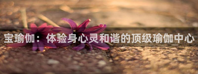 欧洲杯投注官方网站