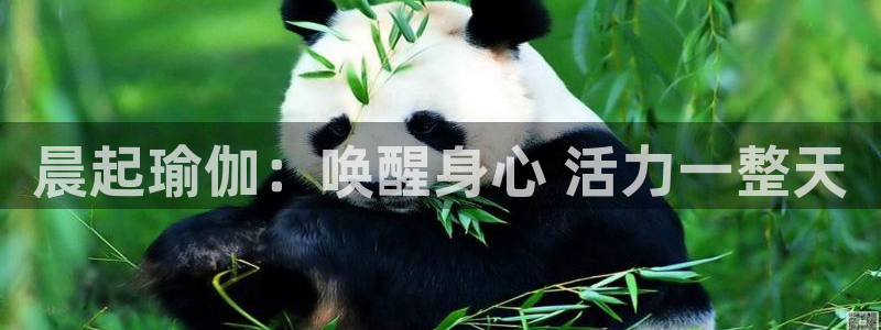 欧洲杯指定投注网站