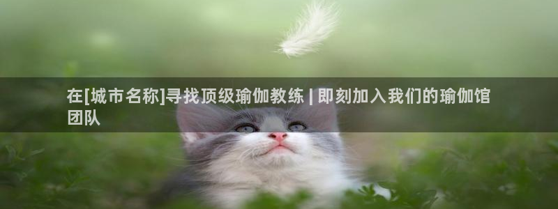 欧洲杯靠谱买球平台
