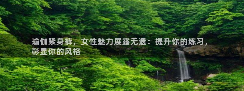欧洲杯买注在哪买